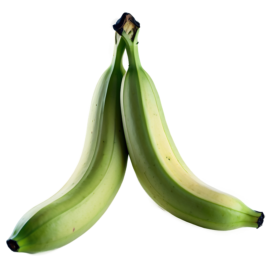 Green Unripe Banana Png 21 PNG Image