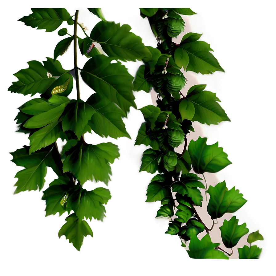 Green Vine Leaves Transparent Background PNG Image