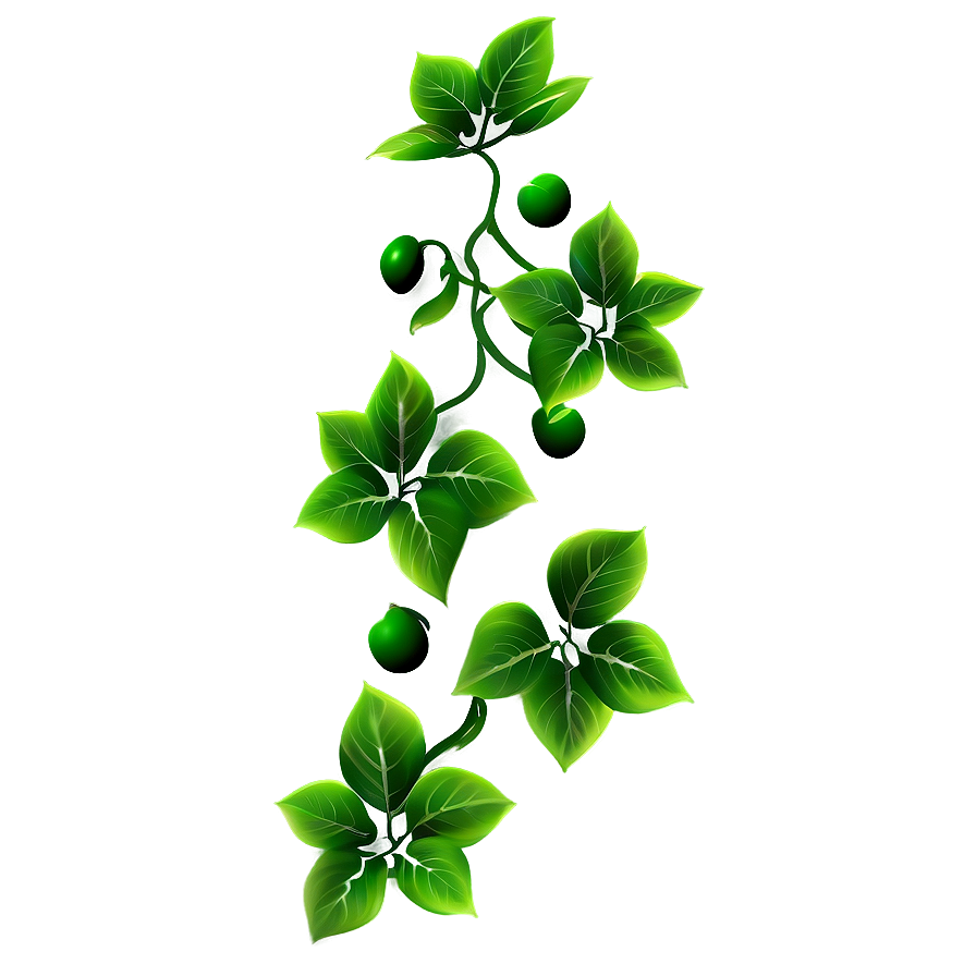 Green Vine Leavesand Berries PNG Image