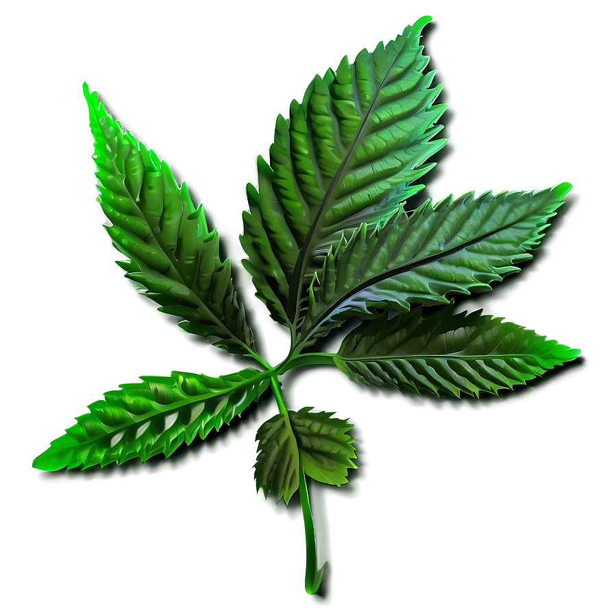 Green Weed Strain Png 05032024 PNG Image