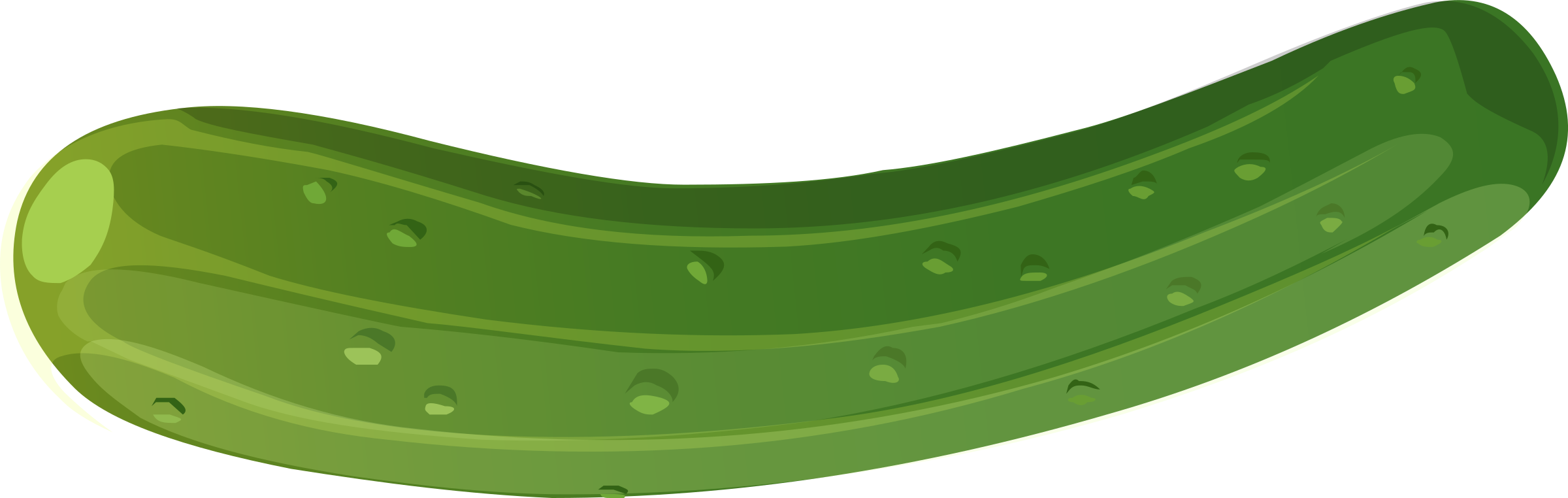 Green Zucchini Cartoon Illustration PNG Image