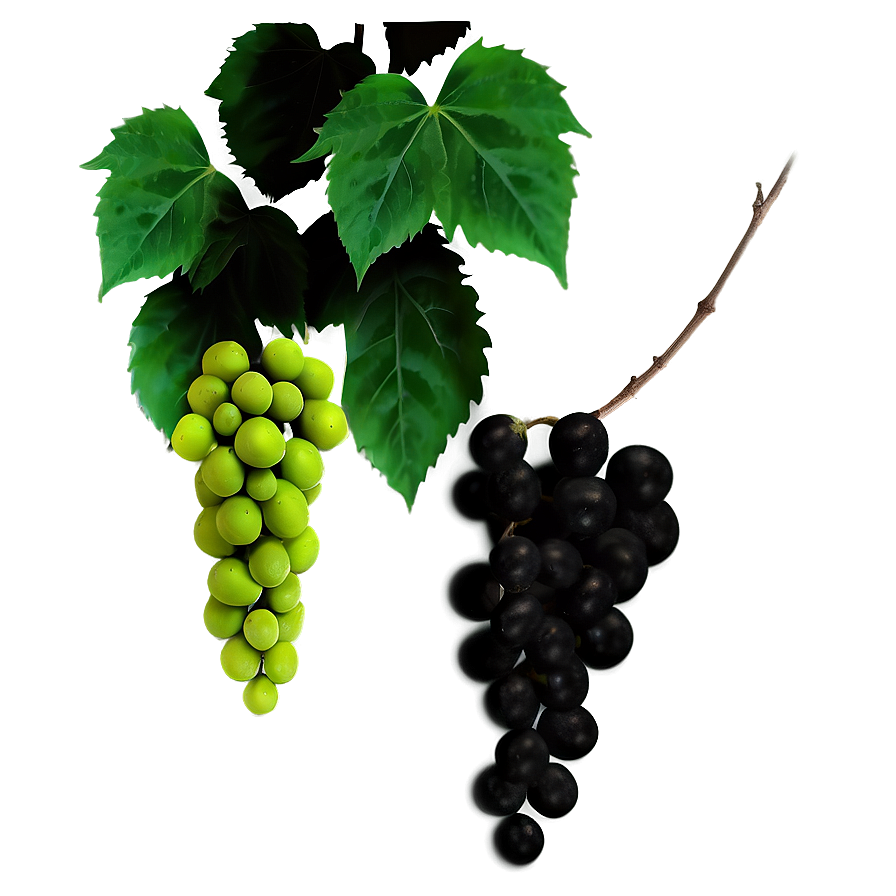 Greenand Black Grapeswith Leaves PNG Image