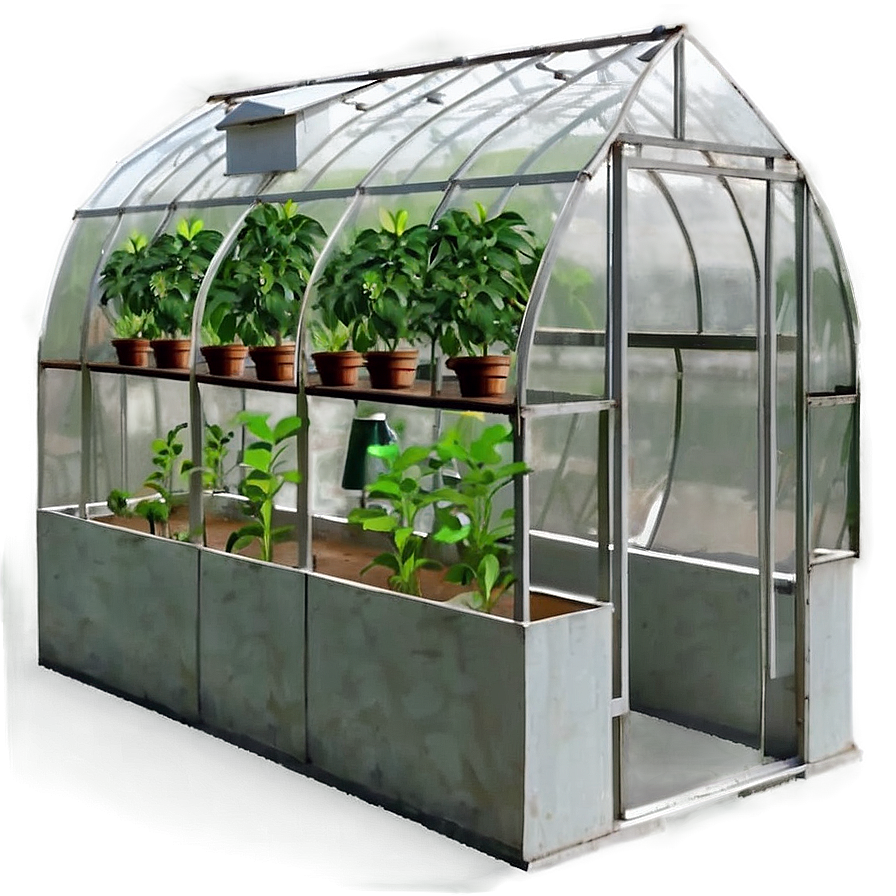 Greenhouse C PNG Image