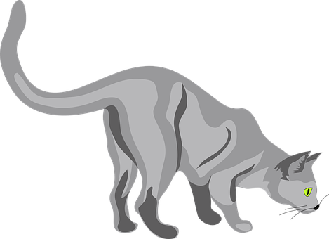 Grey Cat Vector Illustration PNG Image