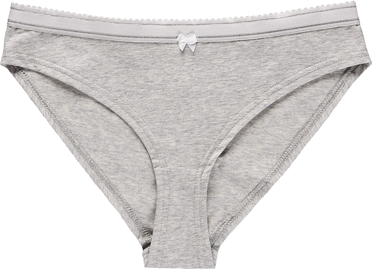 Grey Cotton Bikini Bottoms PNG Image