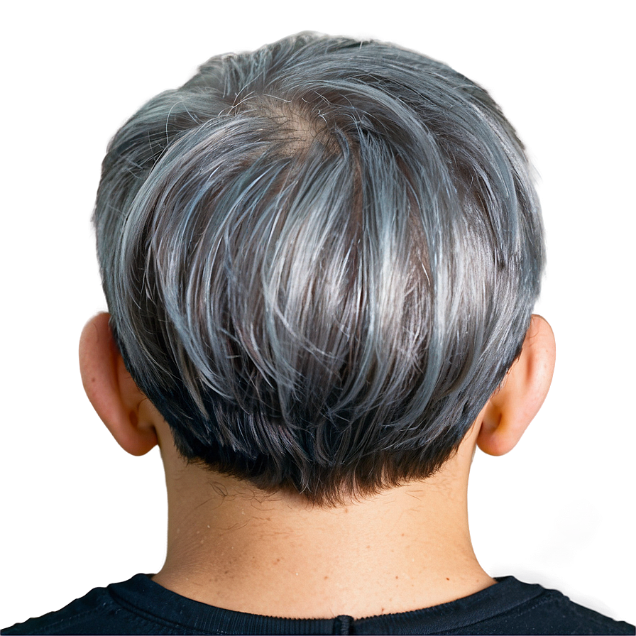 Grey Hair Highlights Png Rym PNG Image