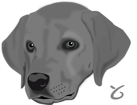 Grey Labrador Digital Art PNG Image