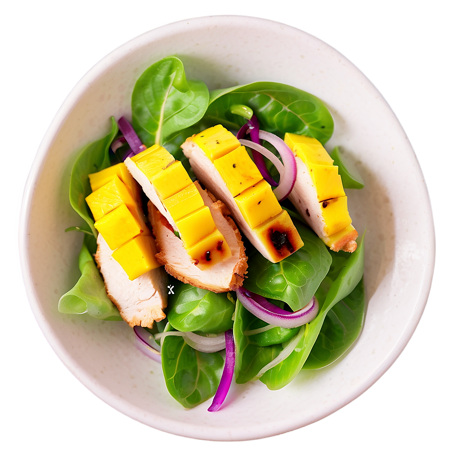 Grilled Chicken And Mango Salad Png 28 PNG Image