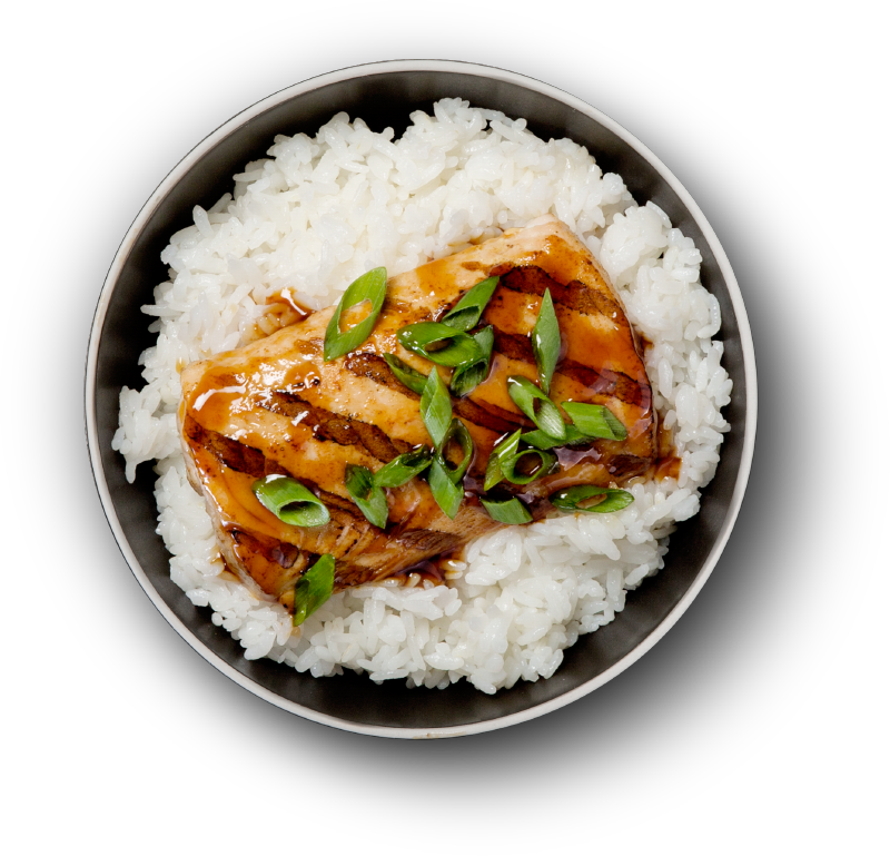 Grilled Salmon Over Rice Bowl PNG Image