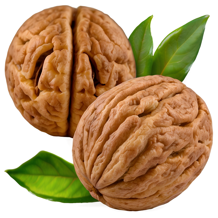 Ground Walnut Png 06122024 PNG Image