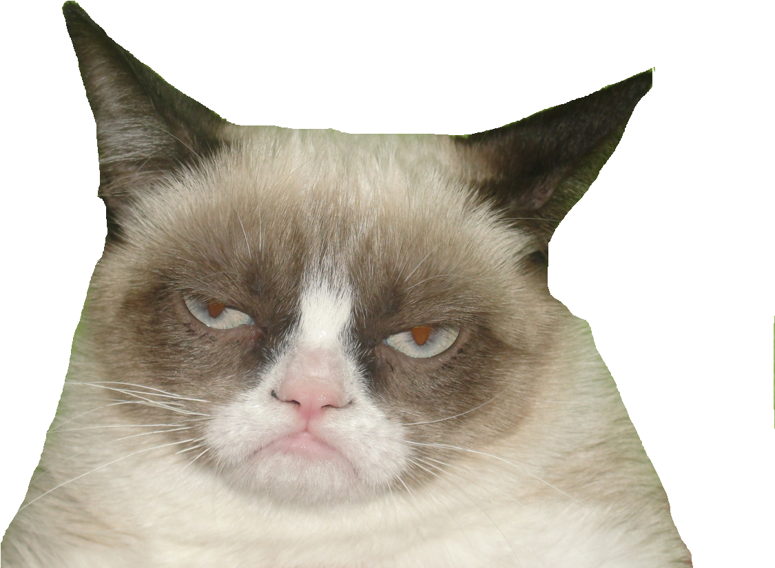 Grumpy Cat Meme Classic PNG Image