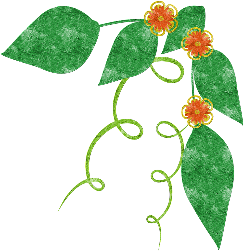 Grunge Floral Vine Illustration PNG Image