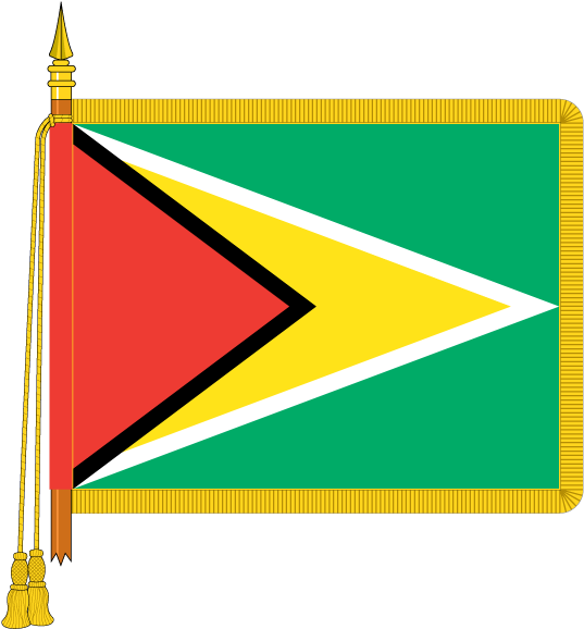 Guyana National Flagwith Fringe PNG Image