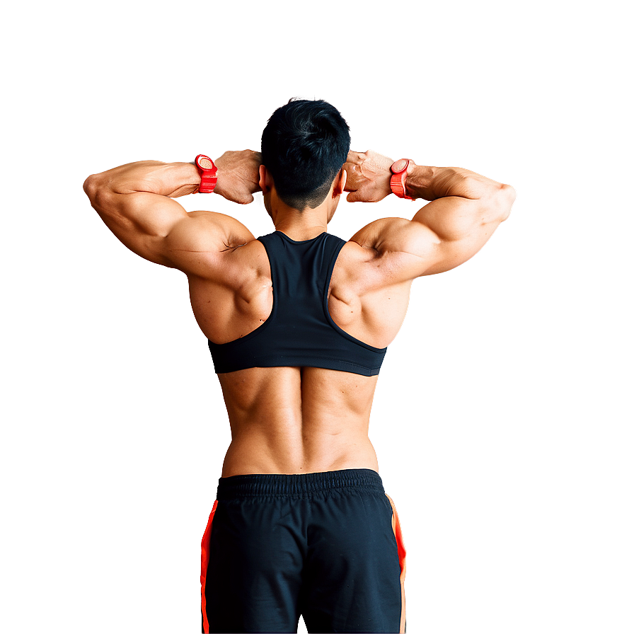 Gym Muscle Growth Png 55 PNG Image