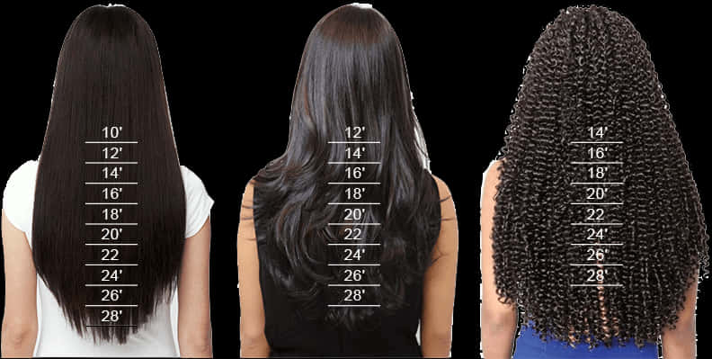 Hair Length Comparison Chart PNG Image