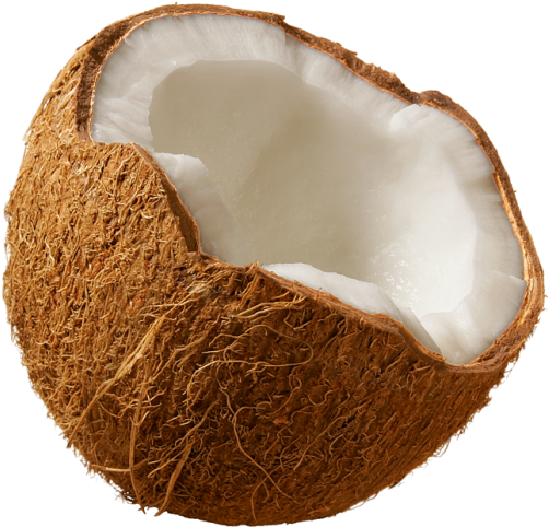 Half Open Coconutwith White Flesh PNG Image