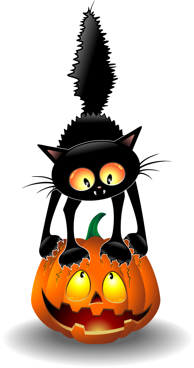 Halloween Black Catand Jack O Lantern PNG Image