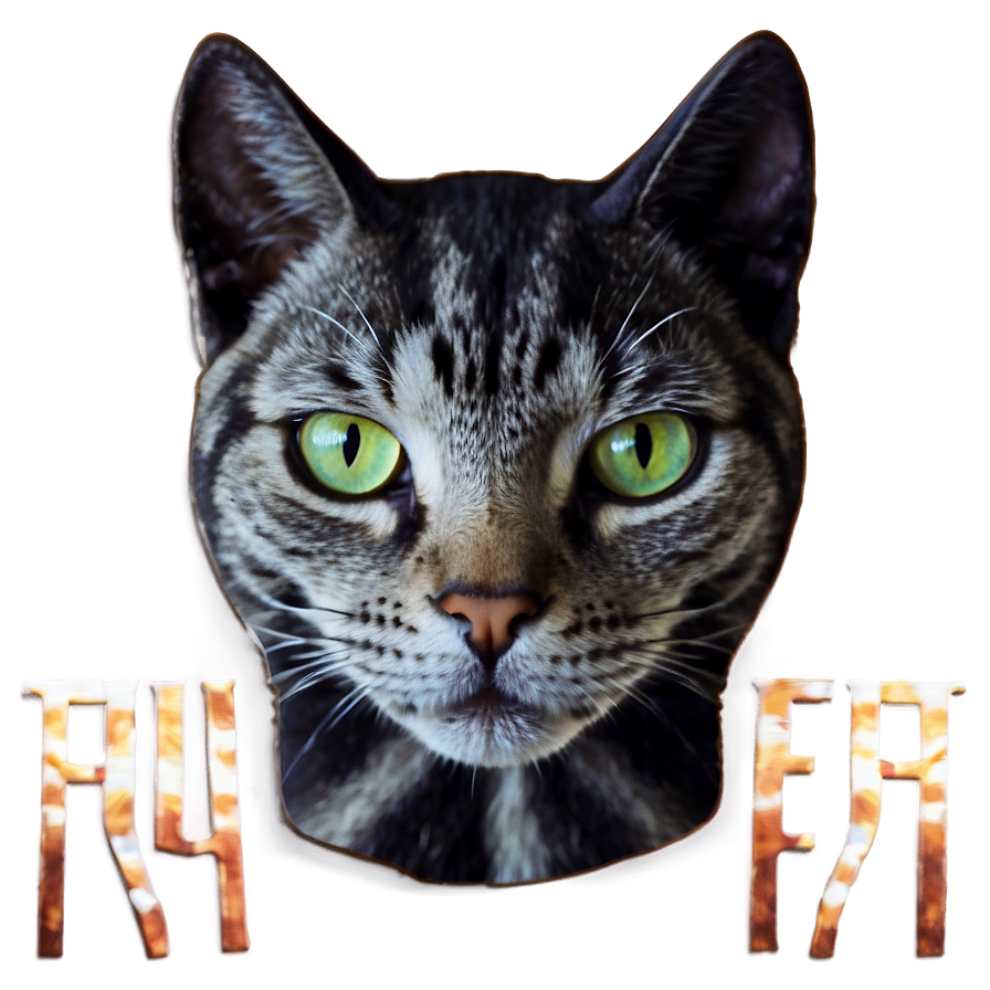 Halloween Cat Filter Png Wxl PNG Image