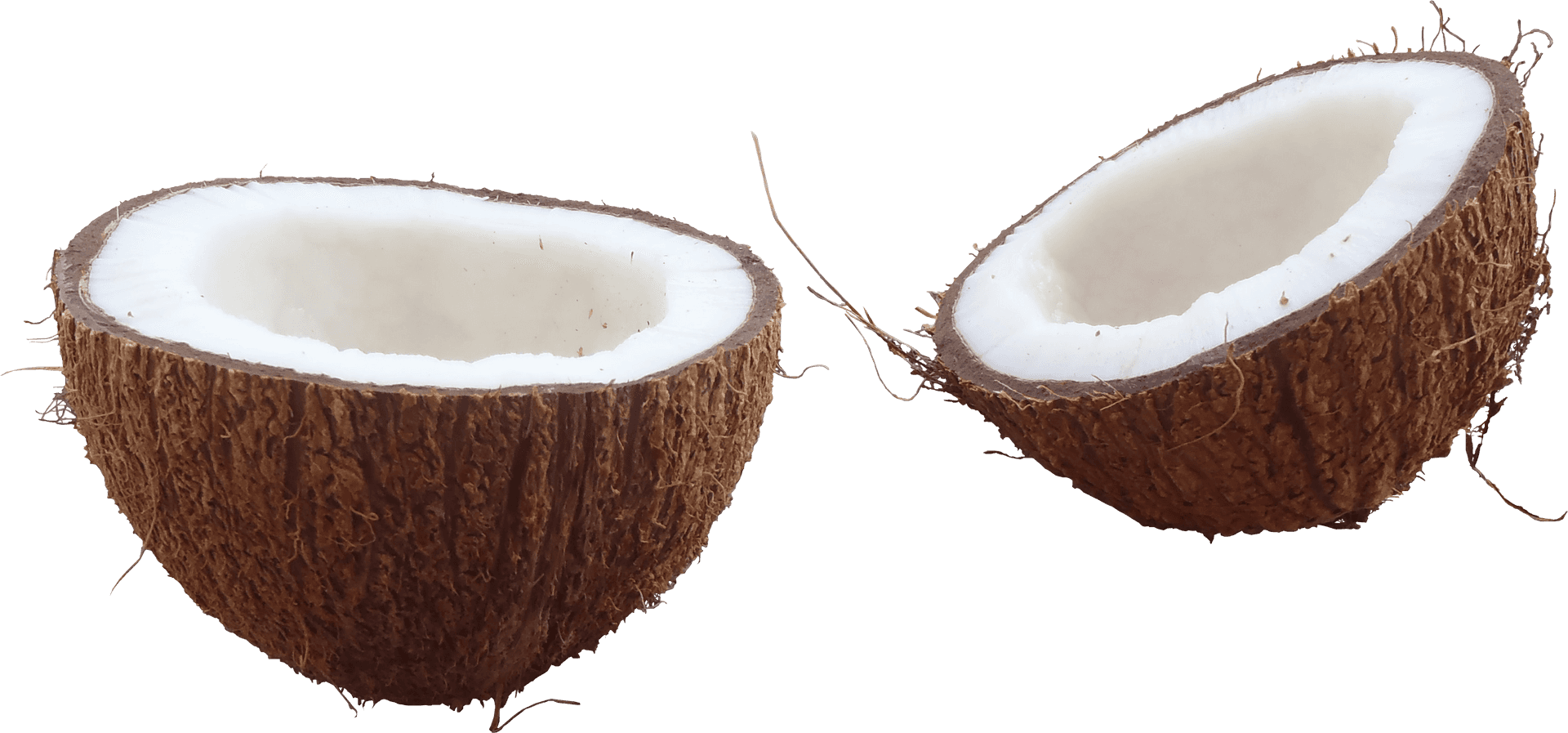 Halved Coconut Fresh White Meat PNG Image