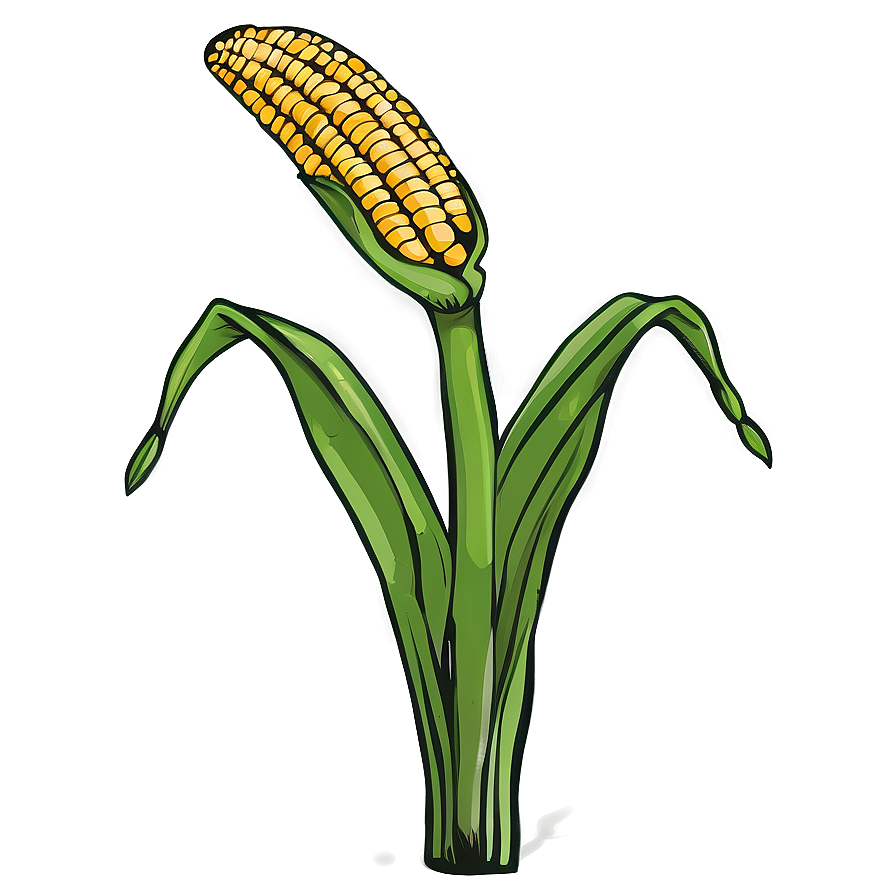 Hand Drawn Corn Stalk Png Ayu64 PNG Image