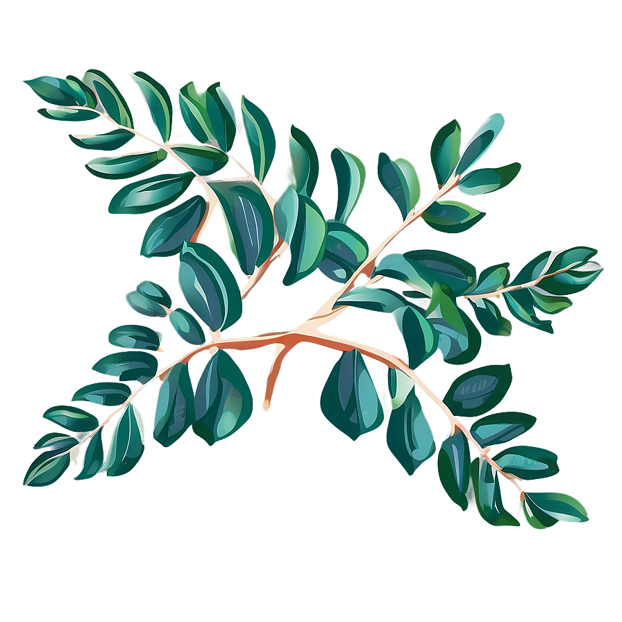 Hand Drawn Eucalyptus Leaves Png Jix67 PNG Image