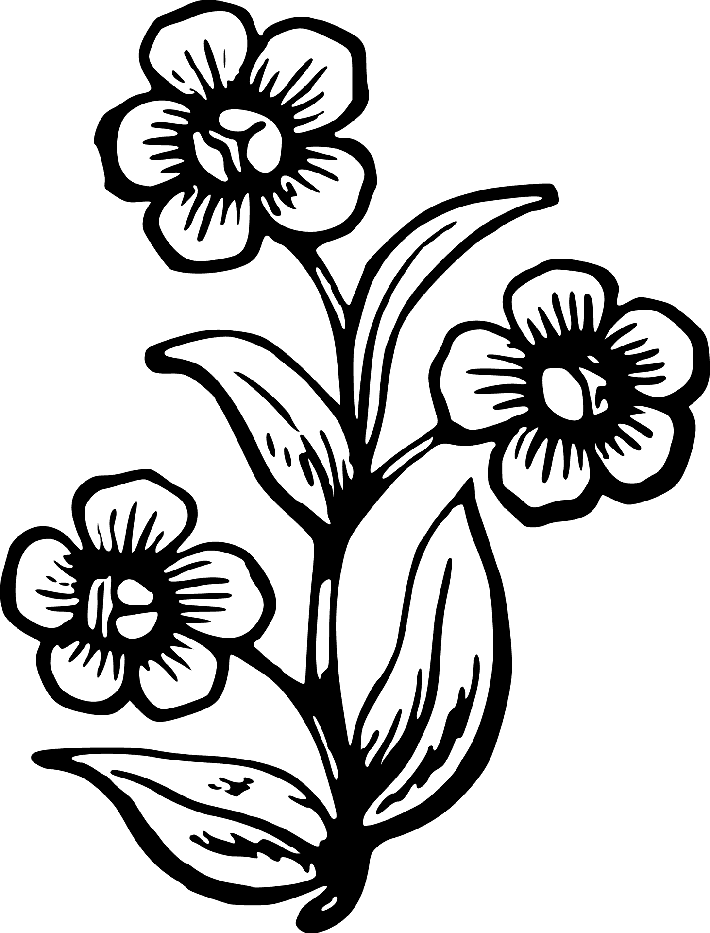 Hand Drawn Floral Illustration PNG Image