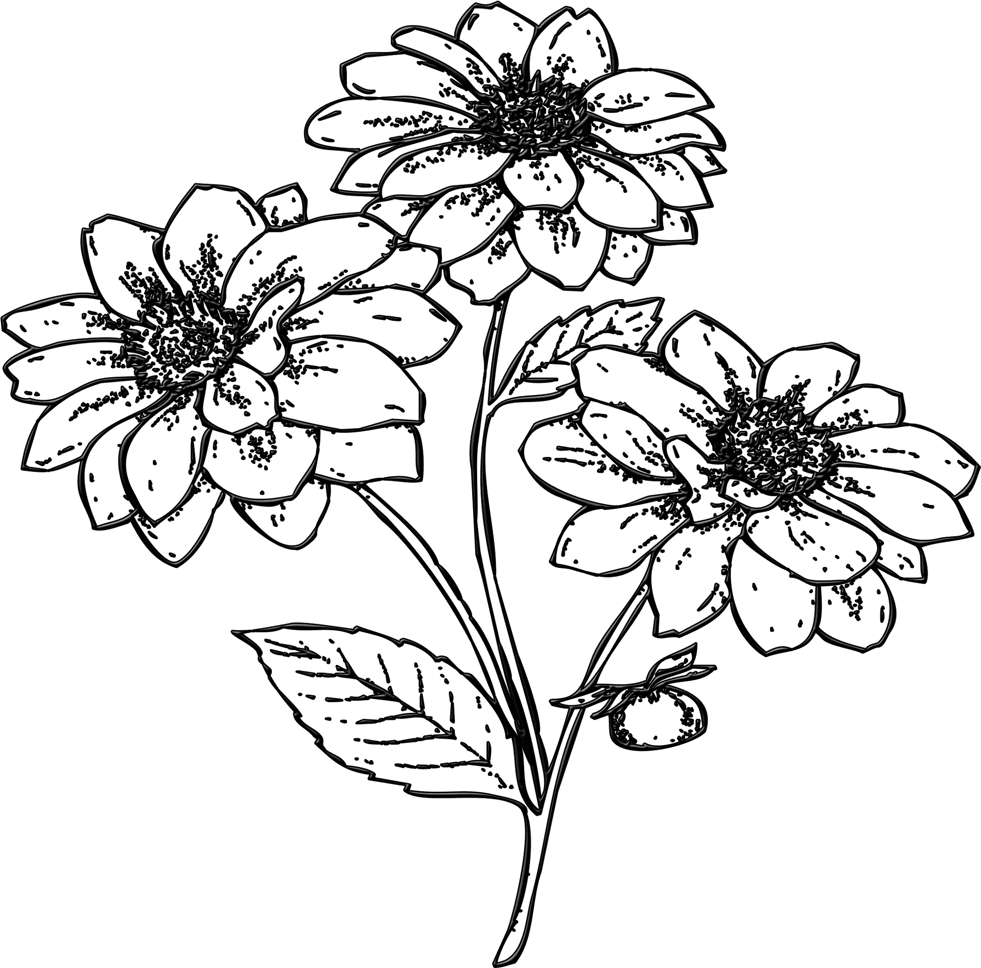 Hand Drawn Floral Illustration PNG Image