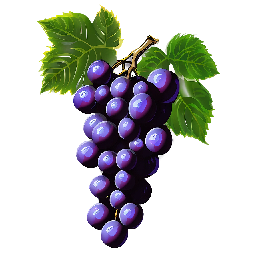 Hand Drawn Grapes Png 28 PNG Image