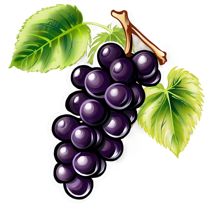 Hand Drawn Grapes Png Vib79 PNG Image