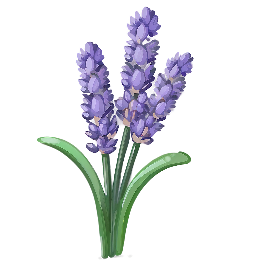 Hand Drawn Lavender Bouquet Png 92 PNG Image