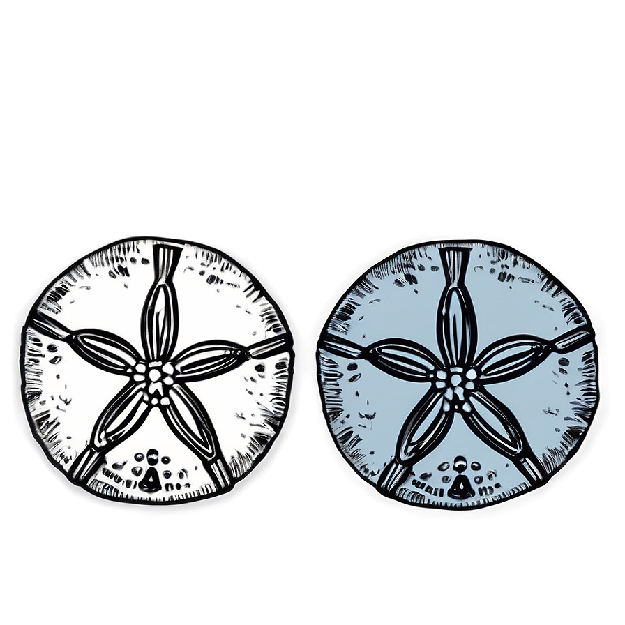 Hand Drawn Sand Dollar Png Gkk63 PNG Image