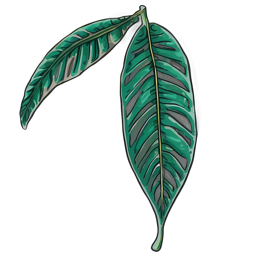 Hand-drawn Tropical Leaf Png Qal PNG Image