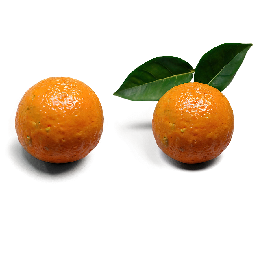 Hand-picked Oranges Png Vty62 PNG Image