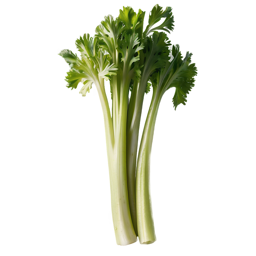 Handful Of Celery Png Twi17 PNG Image