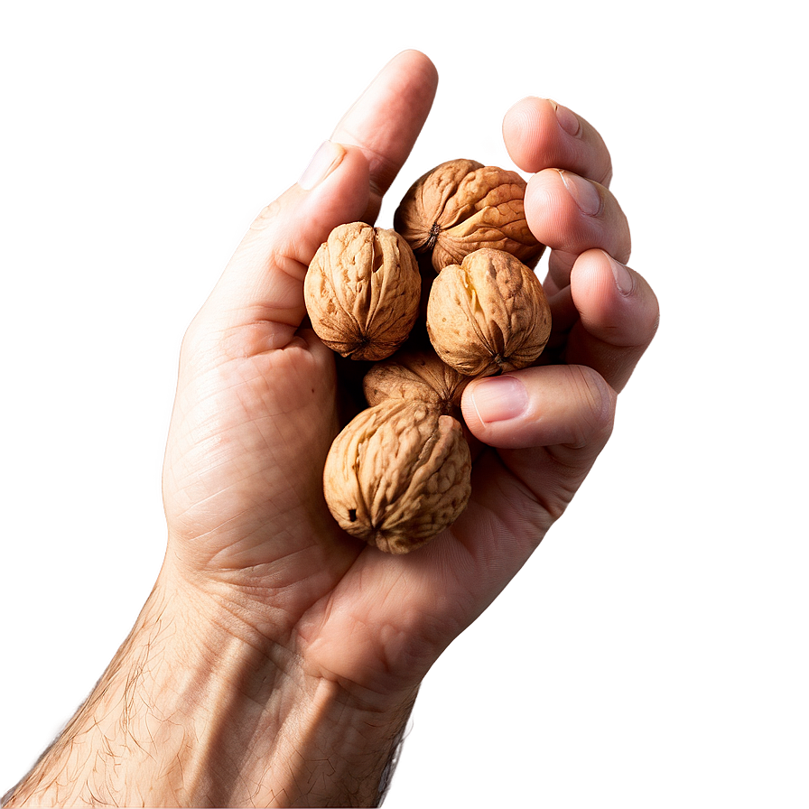 Handful Of Walnuts Png Ivm15 PNG Image