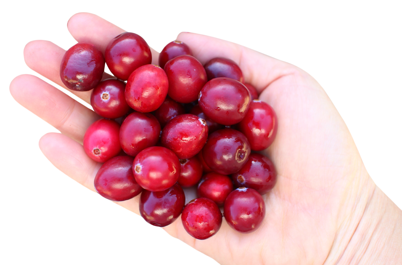 Handfulof Cranberries PNG Image