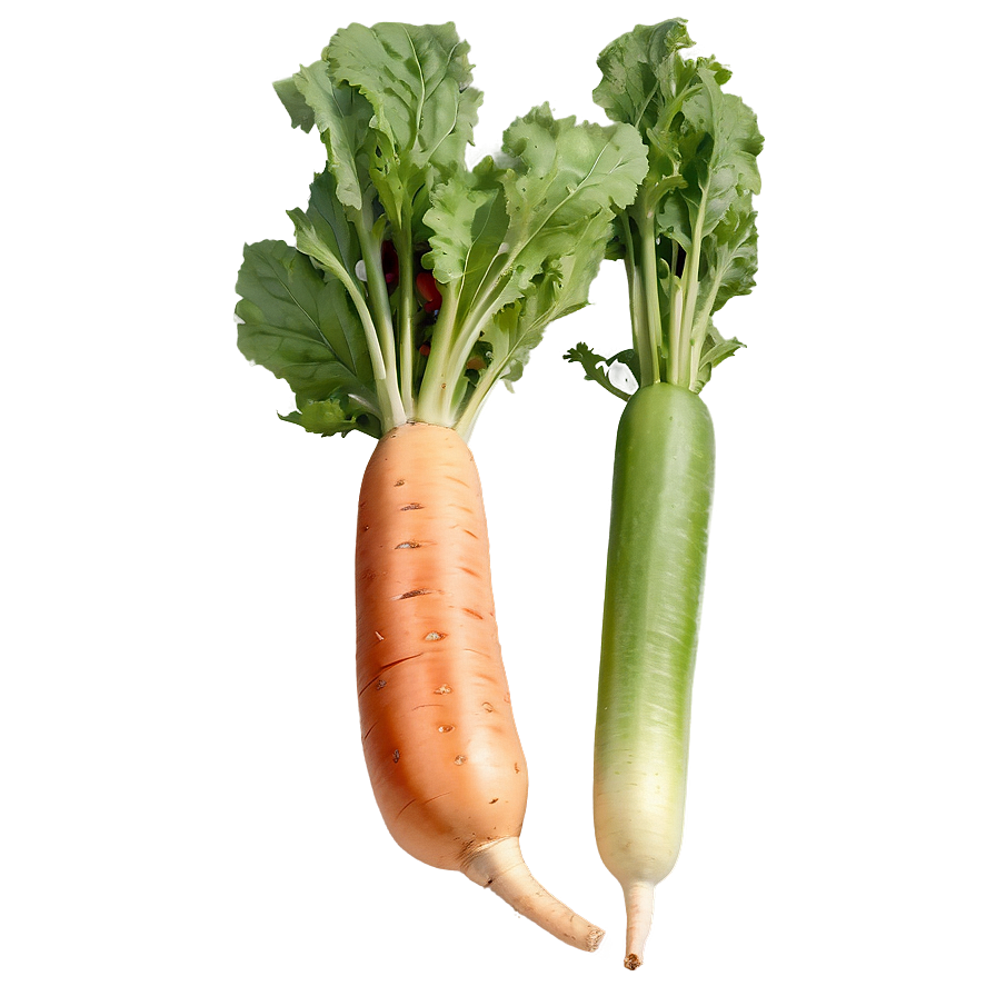 Handpicked Vegetables Set Png 79 PNG Image