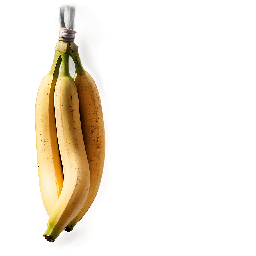 Hanging Banana Branch Png 05042024 PNG Image