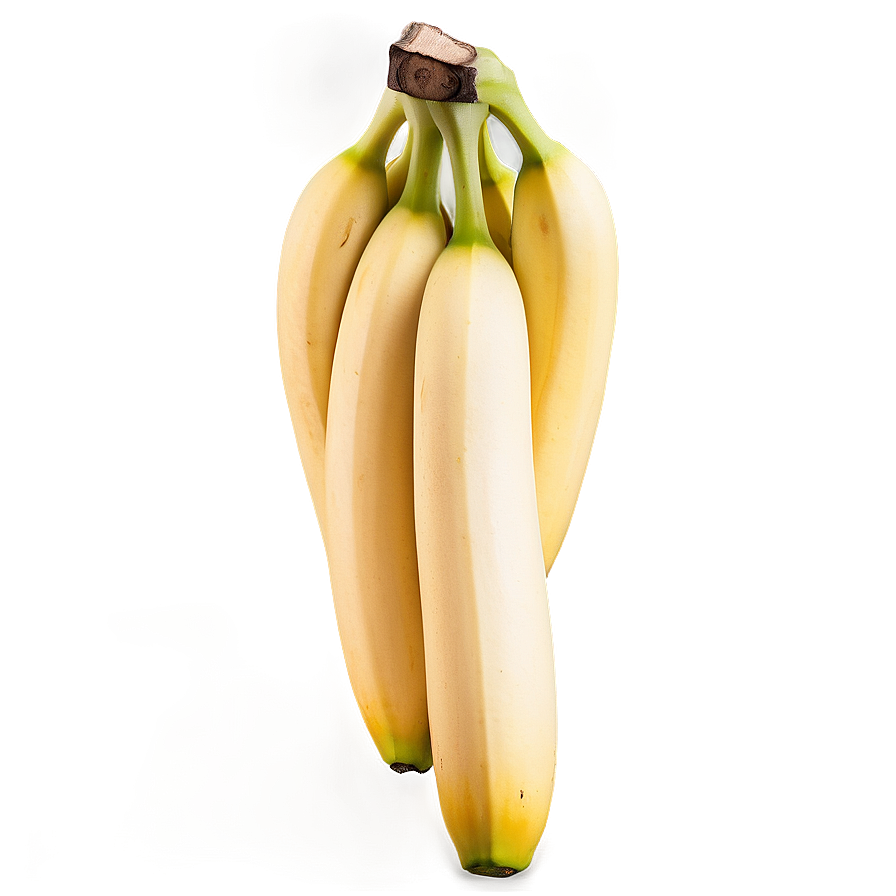 Hanging Banana Branch Png 7 PNG Image