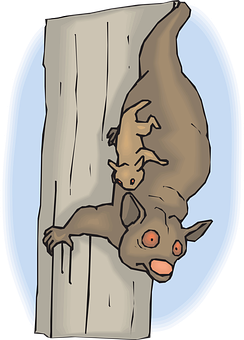 Hanging Bats Cartoon PNG Image