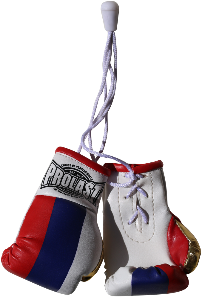 Hanging Boxing Gloves Provast PNG Image