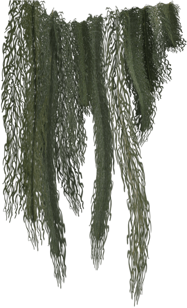 Hanging Green Vines.png PNG Image