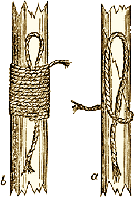 Hanging Noose Demonstration PNG Image