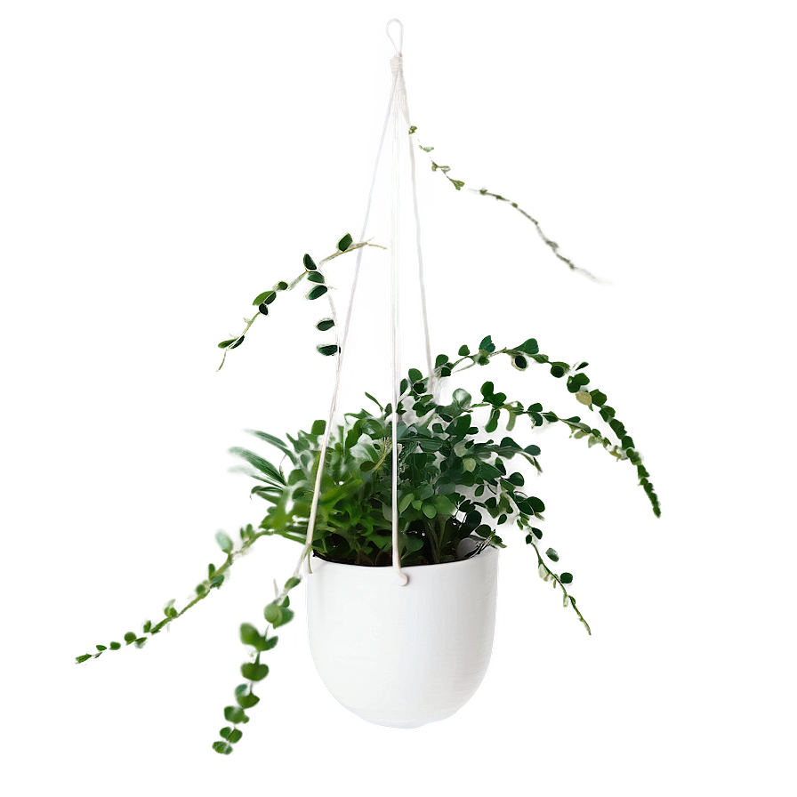 Hanging Plant Arrangement Png 51 PNG Image