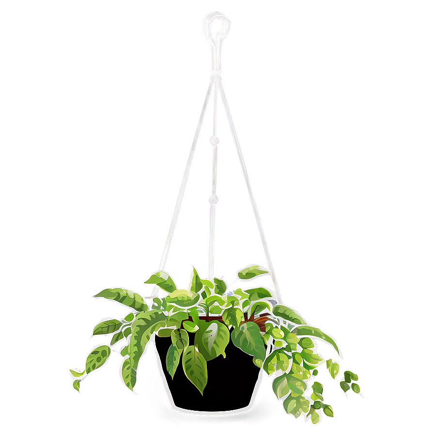 Hanging Plant Png 53 PNG Image