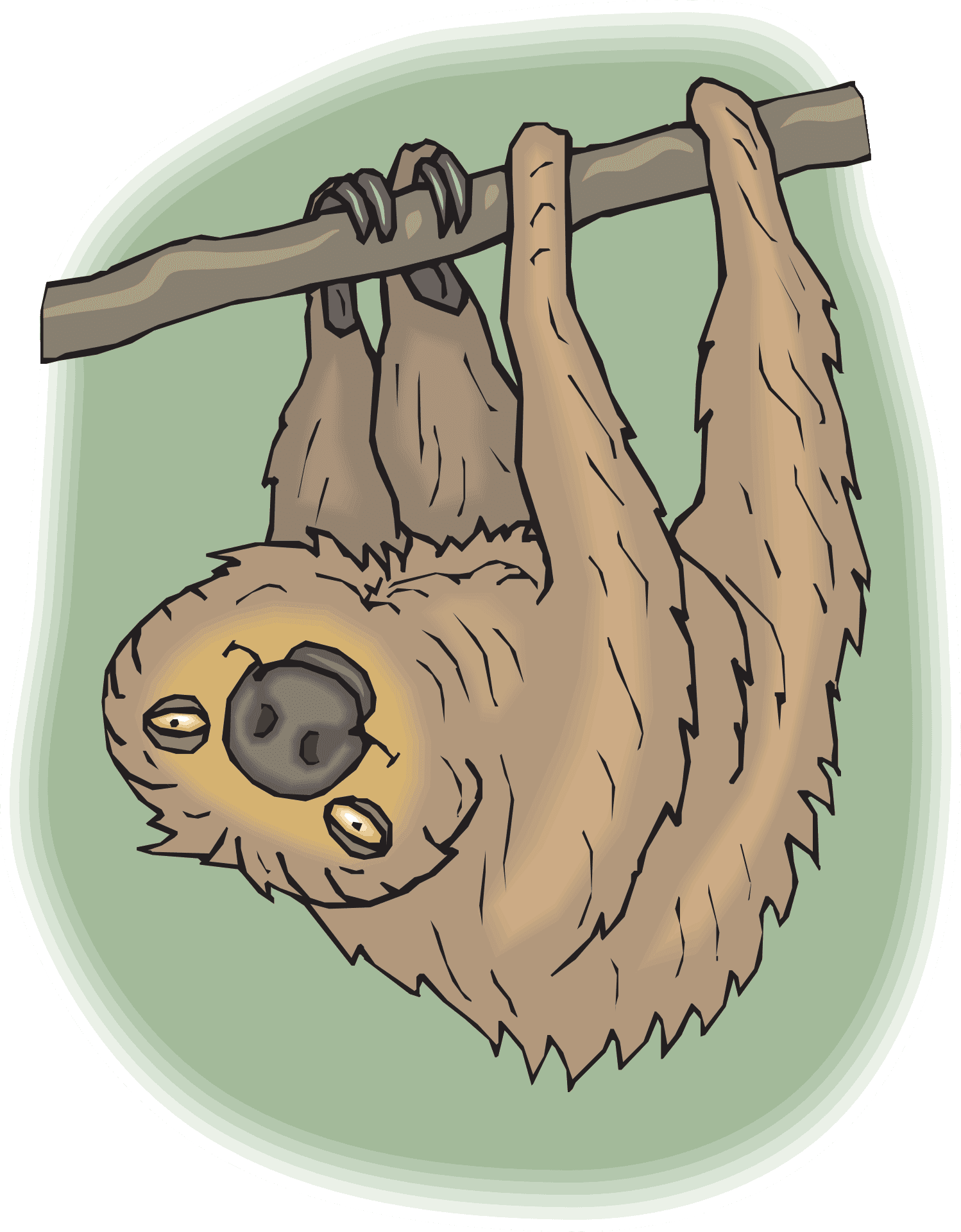 Hanging Sloth Cartoon PNG Image