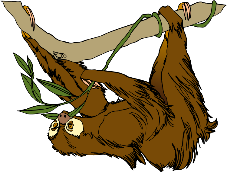 Hanging Sloth Cartoon Illustration PNG Image