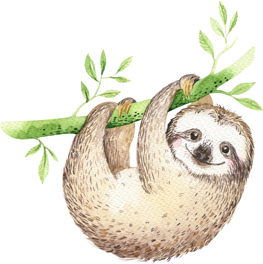 Hanging Sloth Illustration.png PNG Image