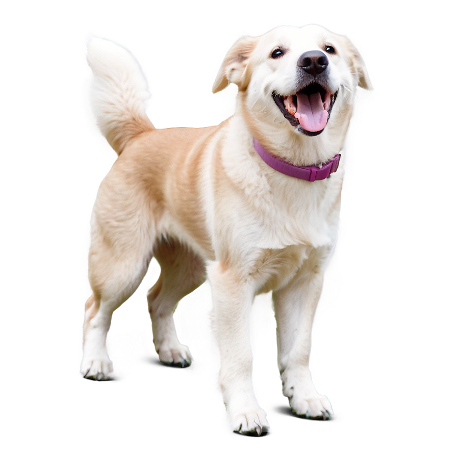 Happy Dog Png Jrd53 PNG Image