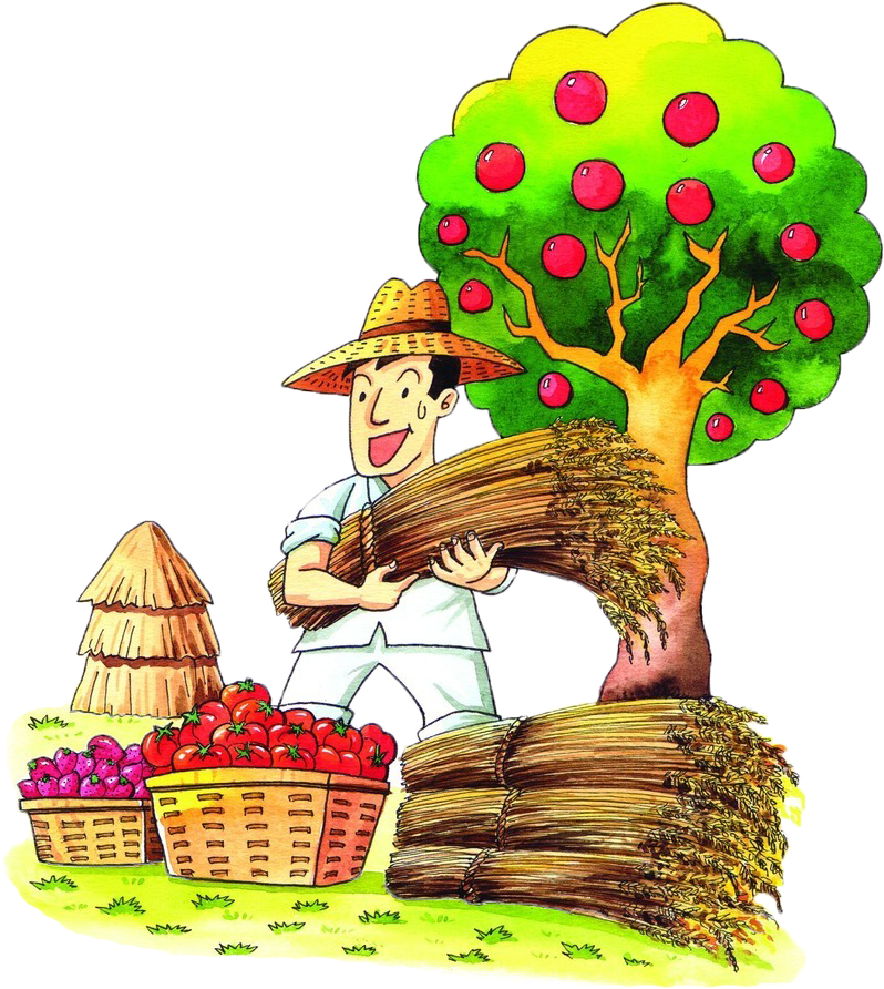 Happy Farmer Harvesting Apples PNG Image